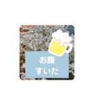 むんとお出かけ会話（個別スタンプ：20）