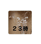 むんとお出かけ会話（個別スタンプ：30）