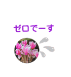 むんとお出かけ会話（個別スタンプ：35）