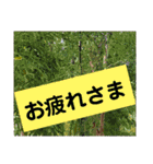 むんとお出かけ会話（個別スタンプ：39）