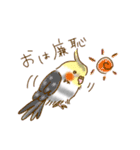 momoオリジナル鳥さんスタンプ①（個別スタンプ：25）