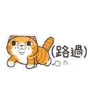 ランラン猫 43 (台湾版)（個別スタンプ：1）