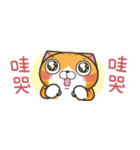 ランラン猫 43 (台湾版)（個別スタンプ：6）