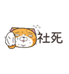 ランラン猫 43 (台湾版)（個別スタンプ：14）