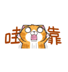 ランラン猫 43 (台湾版)（個別スタンプ：17）
