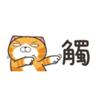 ランラン猫 43 (台湾版)（個別スタンプ：23）