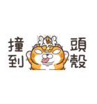ランラン猫 43 (台湾版)（個別スタンプ：27）