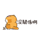 ランラン猫 43 (台湾版)（個別スタンプ：36）