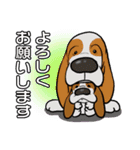 バセットハウンド(犬) 47（個別スタンプ：1）