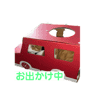 チャコチョコスタンプ（個別スタンプ：1）