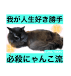 黒猫 ルナ院長22にゃんめ（個別スタンプ：8）