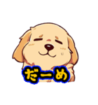 あほかわいい犬（ゴールデンレトリバー）（個別スタンプ：9）