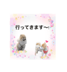 Coco＆ Moguちゃんスタンプ 結婚（個別スタンプ：19）