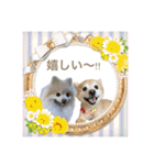 Coco＆ Moguちゃんスタンプ 結婚（個別スタンプ：30）