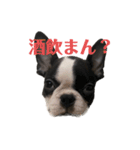 日常ナルト（個別スタンプ：20）