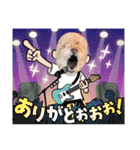 トイプードルのマミマミマミちゃん（個別スタンプ：5）