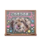 トイプードルのマミマミマミちゃん（個別スタンプ：39）