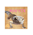 シュプ太の日常生活で使えるスタンプ集（個別スタンプ：2）