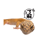 シュプ太の日常生活で使えるスタンプ集（個別スタンプ：4）