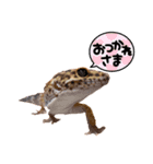 シュプ太の日常生活で使えるスタンプ集（個別スタンプ：7）