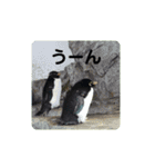 海の生き物,水族館好きの為のスタンプvol.1（個別スタンプ：3）