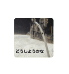 海の生き物,水族館好きの為のスタンプvol.1（個別スタンプ：4）