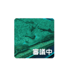 海の生き物,水族館好きの為のスタンプvol.1（個別スタンプ：12）