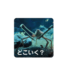 海の生き物,水族館好きの為のスタンプvol.1（個別スタンプ：13）
