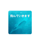海の生き物,水族館好きの為のスタンプvol.1（個別スタンプ：17）