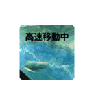 海の生き物,水族館好きの為のスタンプvol.1（個別スタンプ：18）