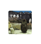 海の生き物,水族館好きの為のスタンプvol.1（個別スタンプ：19）
