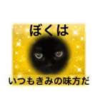 黒猫 ルナ院長23にゃんめ（個別スタンプ：1）