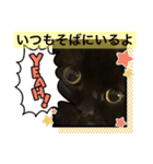 黒猫 ルナ院長23にゃんめ（個別スタンプ：7）