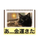 黒猫 ルナ院長24にゃんめ（個別スタンプ：2）