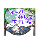 可愛い猫ちゃんのスタンプ♪（個別スタンプ：17）