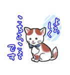 可愛い猫ちゃんのスタンプ♪（個別スタンプ：21）