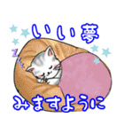 可愛い猫ちゃんのスタンプ♪（個別スタンプ：40）