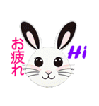 Bunny：いいね（個別スタンプ：6）