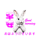 Bunny：いいね（個別スタンプ：22）