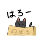 黒猫スタンプ【常用】（個別スタンプ：1）