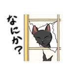 黒猫スタンプ【常用】（個別スタンプ：9）