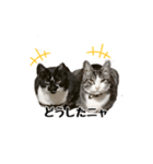仲良し❤︎こてつ＆まーちゃん（個別スタンプ：7）