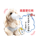 【とのまる日記】熊本弁で喋る犬、とのまる（個別スタンプ：28）