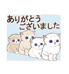 ずっと使える☆猫のあいさつスタンプ（個別スタンプ：11）