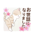 ずっと使える☆猫のあいさつスタンプ（個別スタンプ：12）