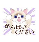 ずっと使える☆猫のあいさつスタンプ（個別スタンプ：19）