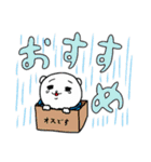 KUMAくん3（個別スタンプ：27）