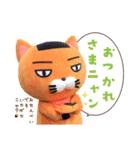 そうかニャン® スタンプニャン1（個別スタンプ：2）