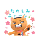 そうかニャン® スタンプニャン1（個別スタンプ：14）