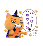 そうかニャン® スタンプニャン1（個別スタンプ：19）